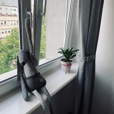 Studio شقة غدينيا